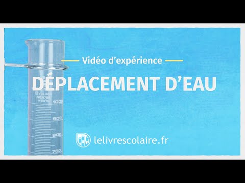 Géographie : les grandes régions du monde